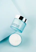 Hyaluronic Moisture Cream